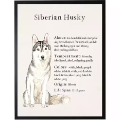 Kirklands Home Siberian Husky Facts Framed Wall Plaque Outlet