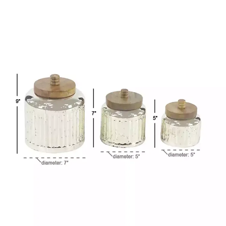Decorative Bowls & Jars>Kirklands Home Silver Glass Jars with Wooden Lids, Set of 3