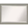 Kirklands Home Silver Patina Scallop Framed Mirror, 30x42 in. Sale