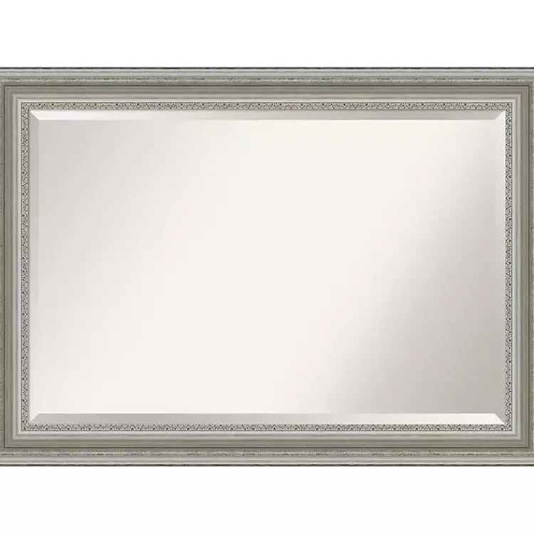 Kirklands Home Silver Patina Scallop Framed Mirror, 30x42 in. Sale