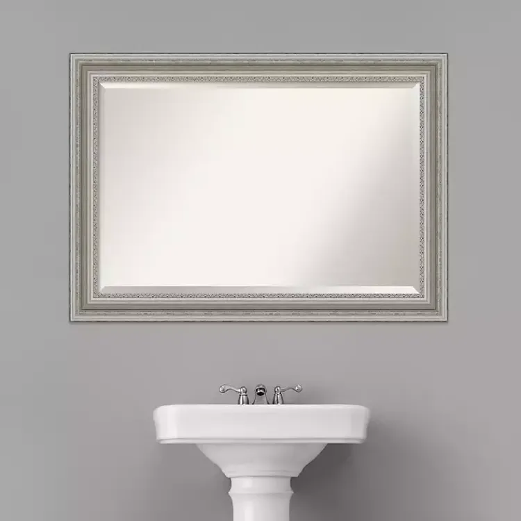 Kirklands Home Silver Patina Scallop Framed Mirror, 30x42 in. Sale