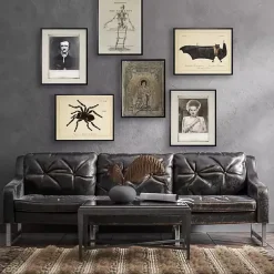 Halloween>Kirklands Home Skeleton Framed Halloween Wall Art