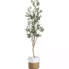 Trees & Topiaries>Kirklands Home Slim Olive Tree in Woven Planter, 7 ft.