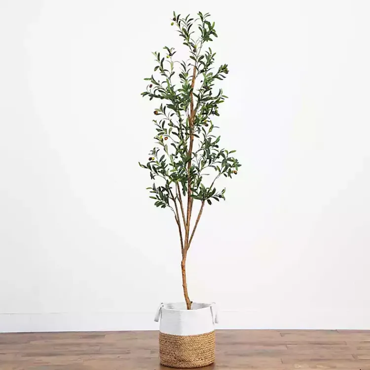 Trees & Topiaries>Kirklands Home Slim Olive Tree in Woven Planter, 7 ft.