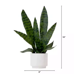 Arrangements & Greenery>Kirklands Home Snake Plant Arrangement in White Planter