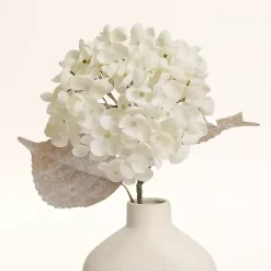 Stems & Bouquets>Kirklands Home Snowy Cream Hydrangea Stems, Set of 2 Ivory
