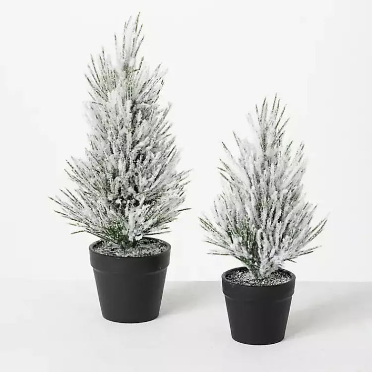 Christmas Arrangements & Garland>Kirklands Home Snowy Potted Mini Pine Trees, Set of 2