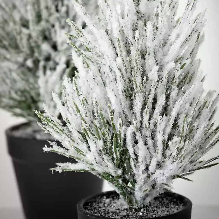 Christmas Arrangements & Garland>Kirklands Home Snowy Potted Mini Pine Trees, Set of 2