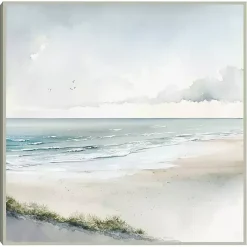 Kirklands Home Soft Coastal I Framed Canvas Art Print Blue New