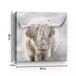 Kirklands Home Soft Solo Highland Giclee Canvas Art Print Gray New
