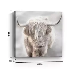 Kirklands Home Solo Highland Cow Canvas Art Print, 40x40 Gray Outlet