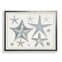 Kirklands Home Starfish Collage Bronze Framed Art Print New