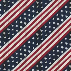 Kirklands Home Stars & Stripes Outdoor Lumbar Pillows, Set of 2 Clearance