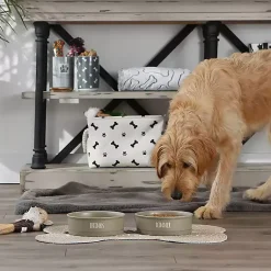 Kirklands Home Stone Dinner & Drinks 2-pc. Pet Bowl Set, 8 in. Tan Discount