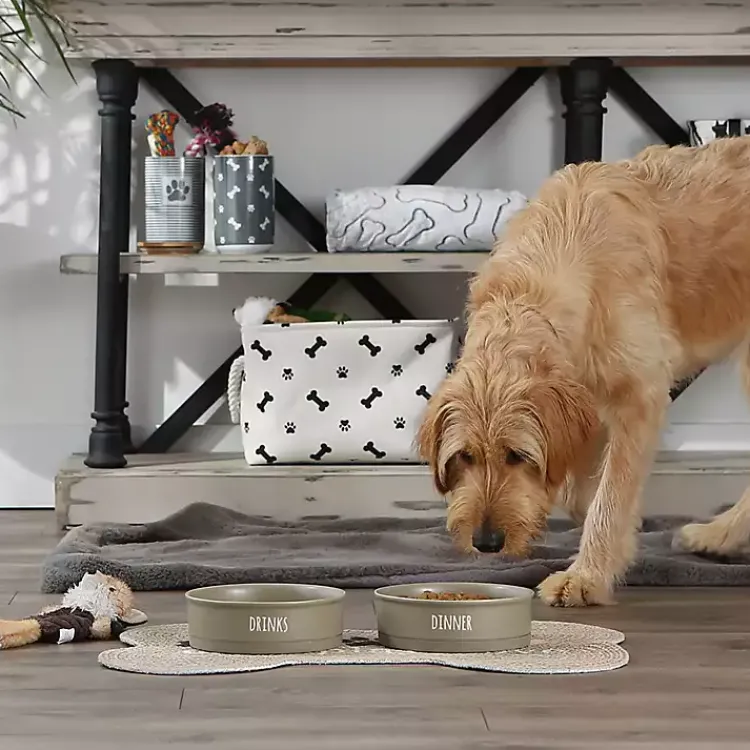 Kirklands Home Stone Dinner & Drinks 2-pc. Pet Bowl Set, 8 in. Tan Discount