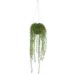 Arrangements & Greenery>Kirklands Home String of Pearl Plant in Hanging Planter Green