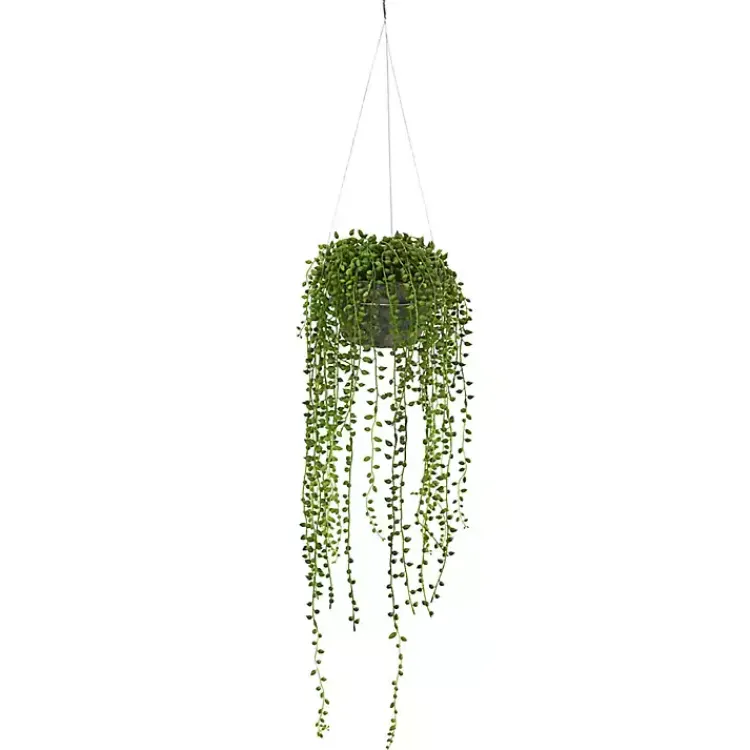 Arrangements & Greenery>Kirklands Home String of Pearl Plant in Hanging Planter Green