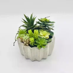 Arrangements & Greenery>Kirklands Home Succulent Arrangement in Zig-Zag Gray Planter