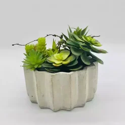 Arrangements & Greenery>Kirklands Home Succulent Arrangement in Zig-Zag Gray Planter