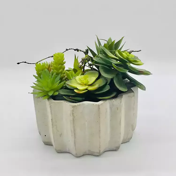 Arrangements & Greenery>Kirklands Home Succulent Arrangement in Zig-Zag Gray Planter