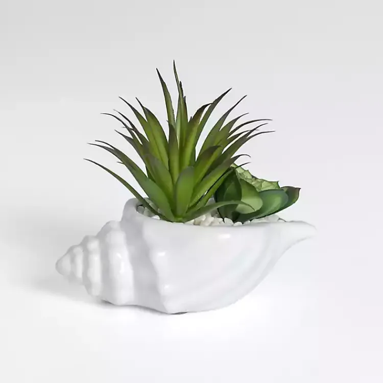 Arrangements & Greenery>Kirklands Home Succulent Arrangement in Seashell