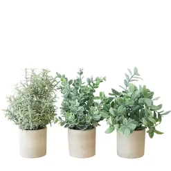 Arrangements & Greenery>Kirklands Home Succulent Arrangements in Cement Pots, Set of 3