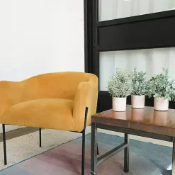 Arrangements & Greenery>Kirklands Home Succulent Arrangements in Cement Pots, Set of 3