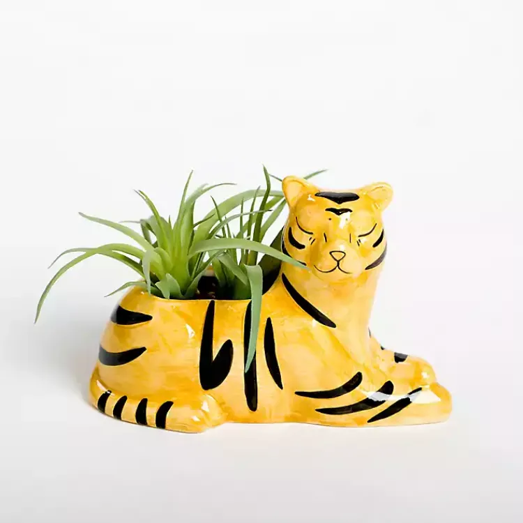 Arrangements & Greenery>Kirklands Home Succulent in Tiger Planter