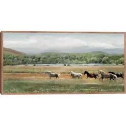 Kirklands Home Summer Herd Framed Canvas Art Print Online
