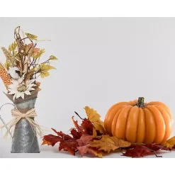Fall><noscript><img width=