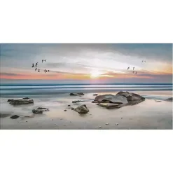 Kirklands Home Sunset Flight Giclee Canvas Art Print
