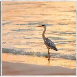 Kirklands Home Sunset Shore Framed Canvas Art Print Sale