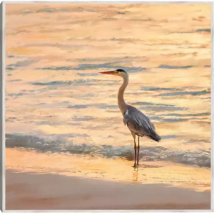Kirklands Home Sunset Shore Framed Canvas Art Print Sale