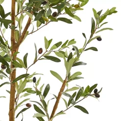 Trees & Topiaries><noscript><img width=