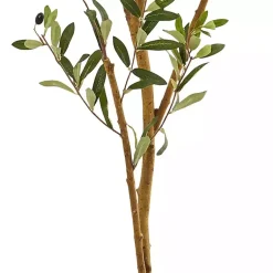 Trees & Topiaries><noscript><img width=