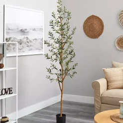 Trees & Topiaries><noscript><img width=