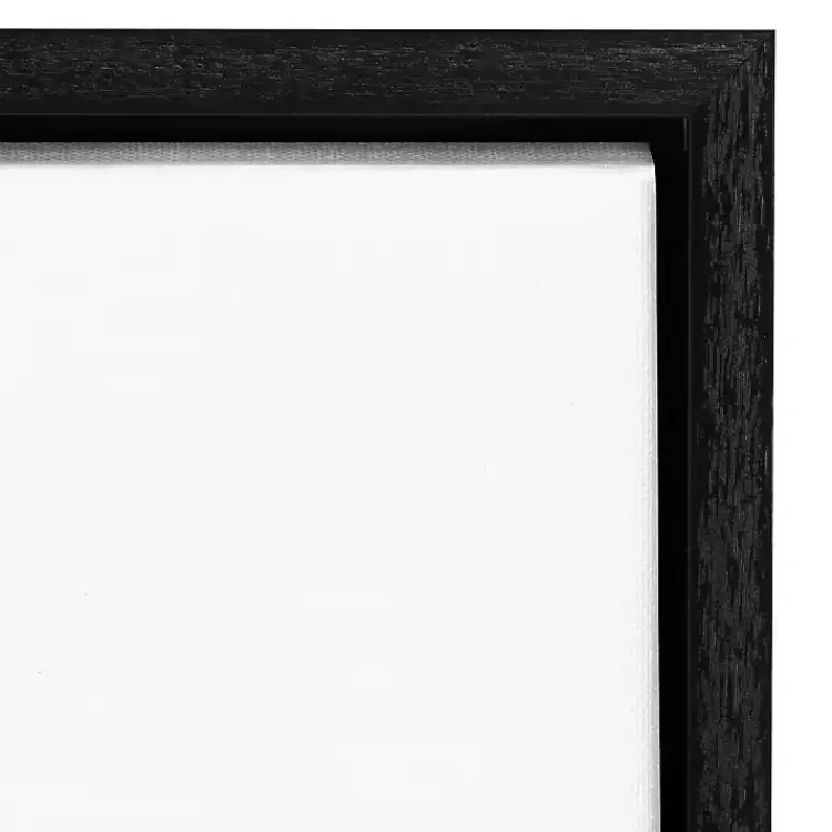 Kirklands Home Tan and Black Dry Laundry Framed Wall Plaque New