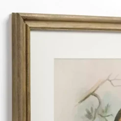 Kirklands Home Tengmalm Owl Framed Art Print Outlet