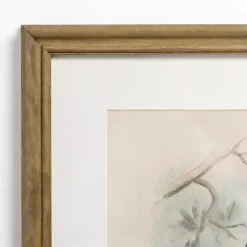 Kirklands Home Tengmalm Owl Framed Art Print Outlet