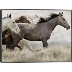 Kirklands Home Thunder Ridge Distressed Framed Canvas Art Print Gray Clearance