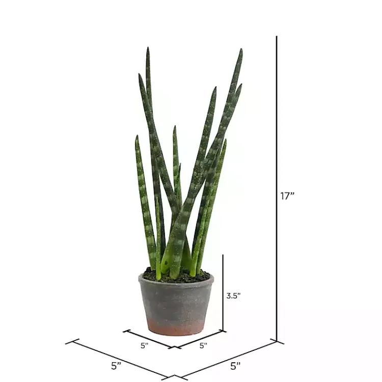 Arrangements & Greenery>Kirklands Home Tiger Tail Succulent in Distressed Planter Green
