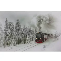 Christmas Art & Wall Decor>Kirklands Home Train in Winter Woods LED Canvas Art Print