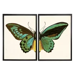 Kirklands Home Turquoise Butterfly Framed Art Prints, Set of 2 Multi Sale