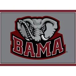 Kirklands Home University of Alabama Area Rug, 4x6 Gray