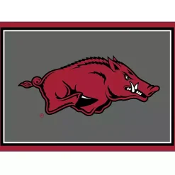 Kirklands Home University of Arkansas Area Rug, 3x4