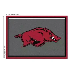 Kirklands Home University of Arkansas Area Rug, 3x4