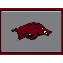 Kirklands Home University of Arkansas Area Rug, 4x6 New