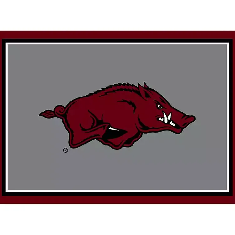 Kirklands Home University of Arkansas Area Rug, 4x6 New