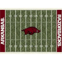 Kirklands Home University of Arkansas Homefield Area Rug, 6x8 Sale