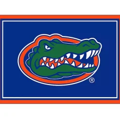 Kirklands Home University of Florida Area Rug, 3x4 Clearance